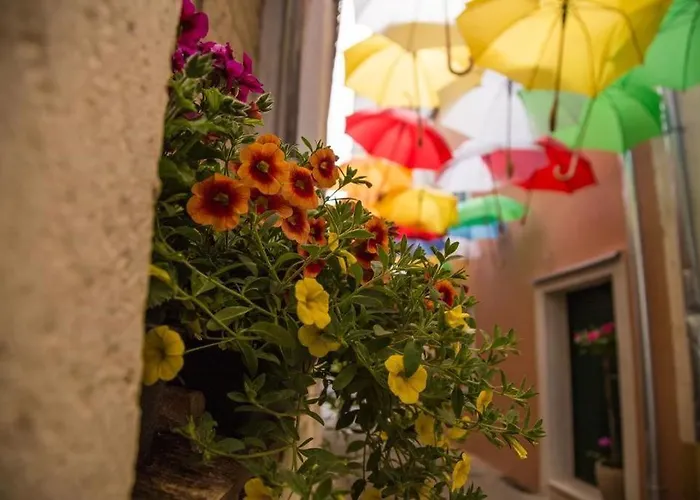 Penzion House Damir 3*